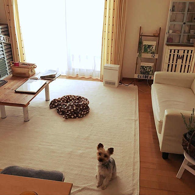 mayuoさんの実例写真
