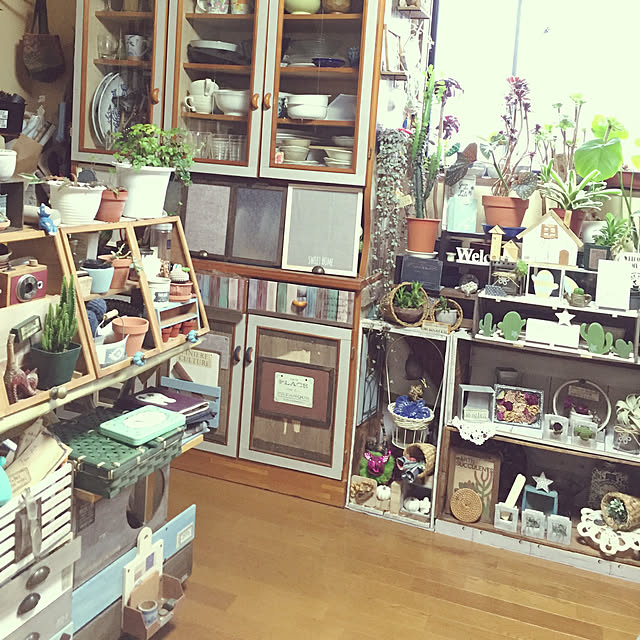 Norikoさんの実例写真