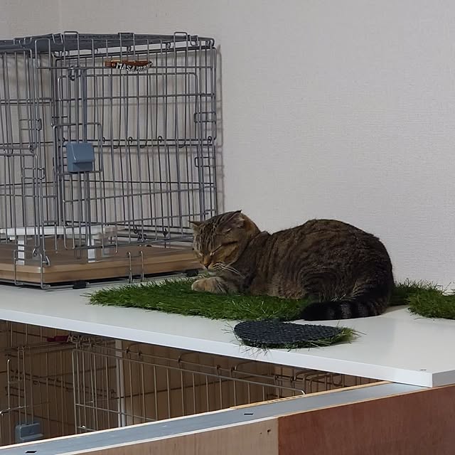 noguriさんの部屋