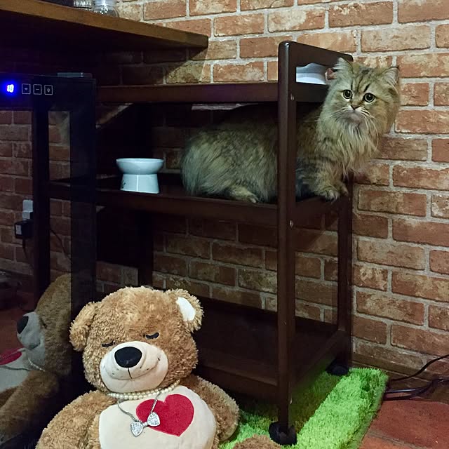 butachanさんの実例写真
