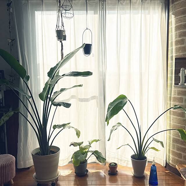 sさんの実例写真