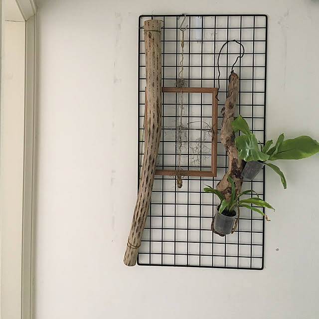 Eddyさんの実例写真