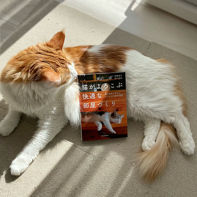 ukoさんの実例写真