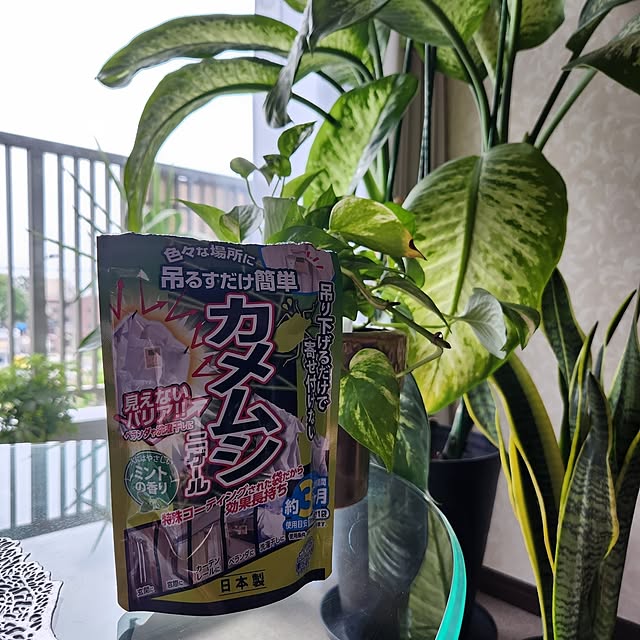 takoさんの部屋