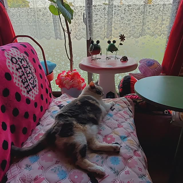 kumutanさんの部屋