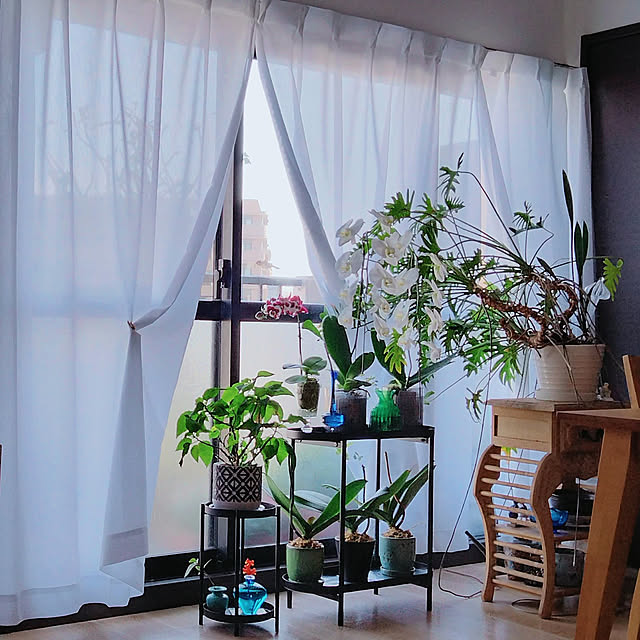reko639さんの実例写真