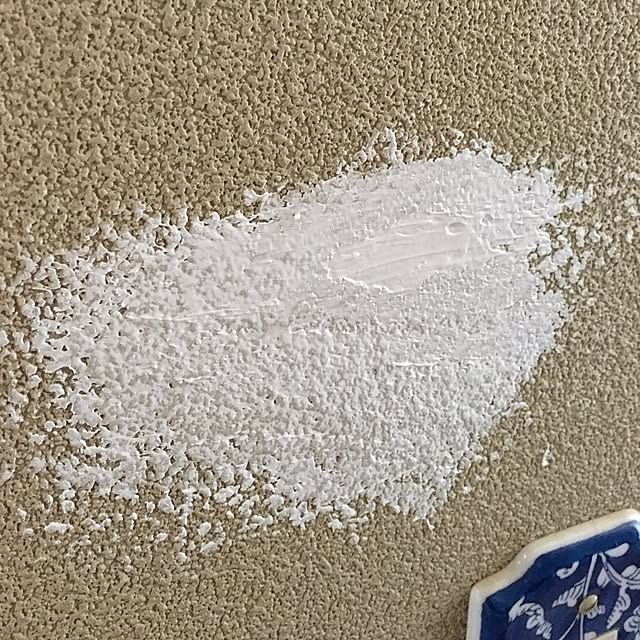 Saraさんの実例写真