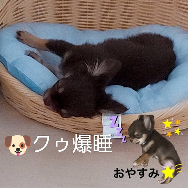 taeさんの実例写真