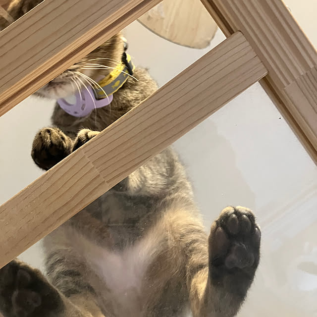 gin.chan-kayoさんの部屋