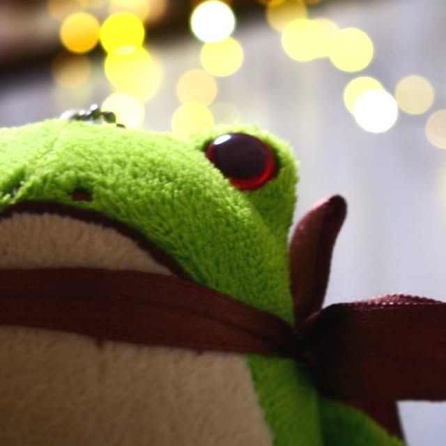 kaelさんの実例写真