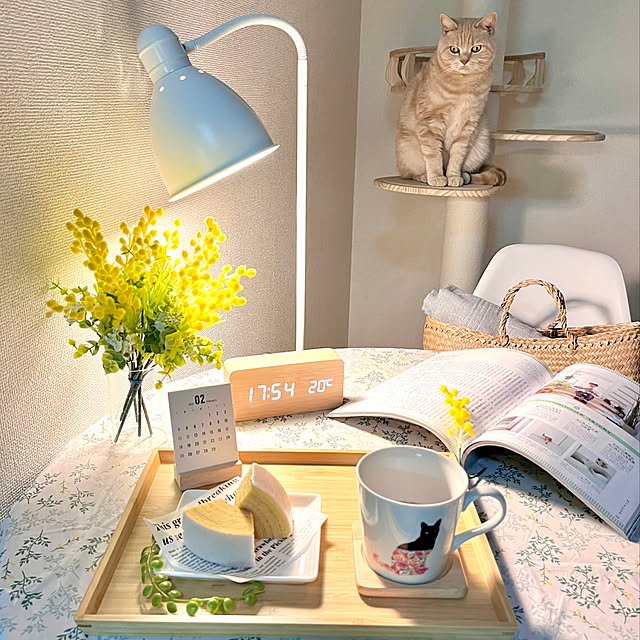 kiyomiさんの実例写真