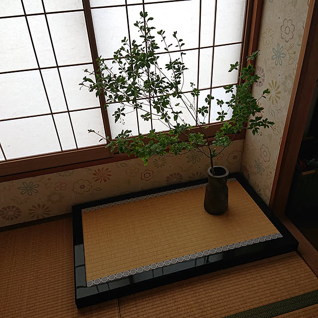 kakkaさんの実例写真