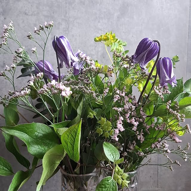 noaさんの実例写真