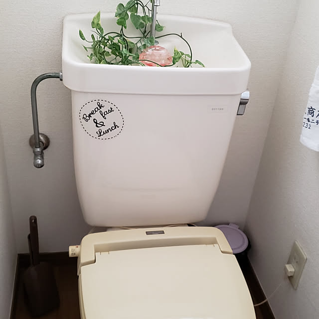 実例写真