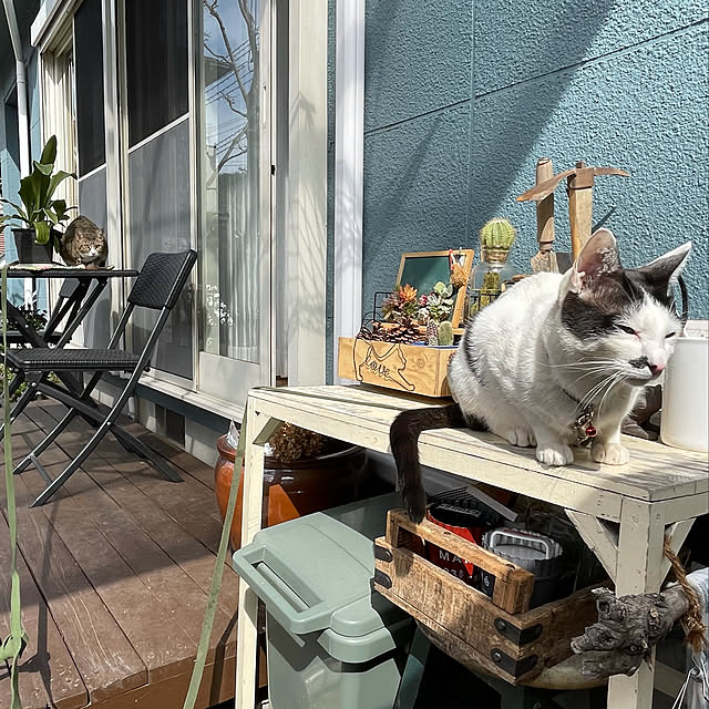 nobikoさんの実例写真