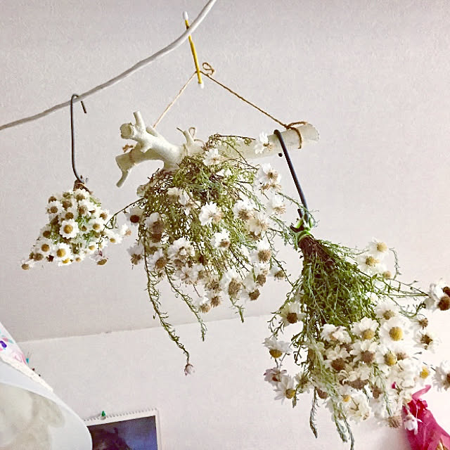 takakoさんの実例写真