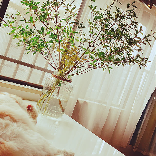 mofuchiさんの実例写真