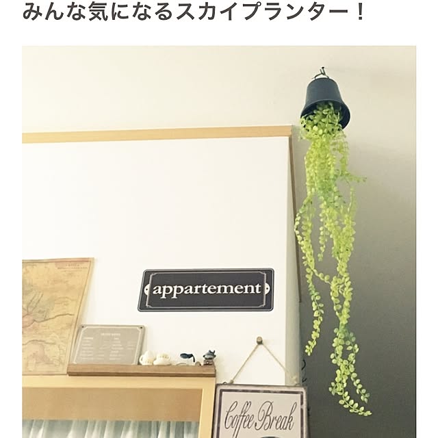 yuuさんの実例写真