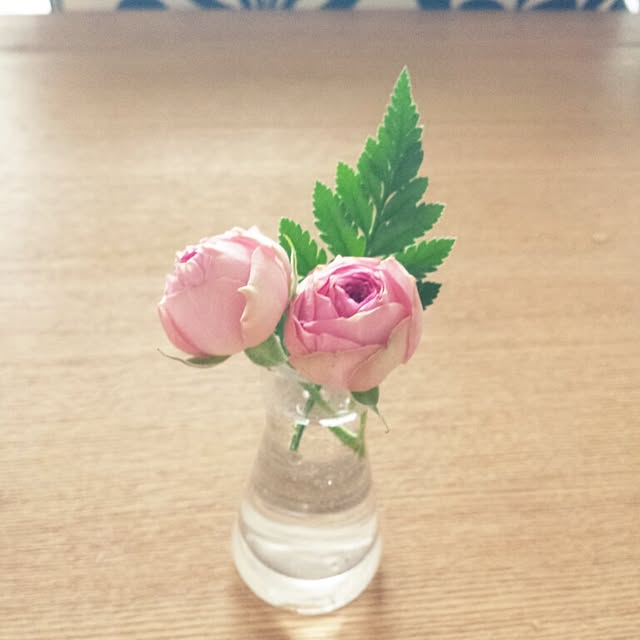 cysyuriさんの実例写真