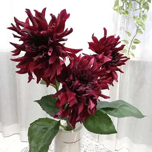 fumitanさんの部屋