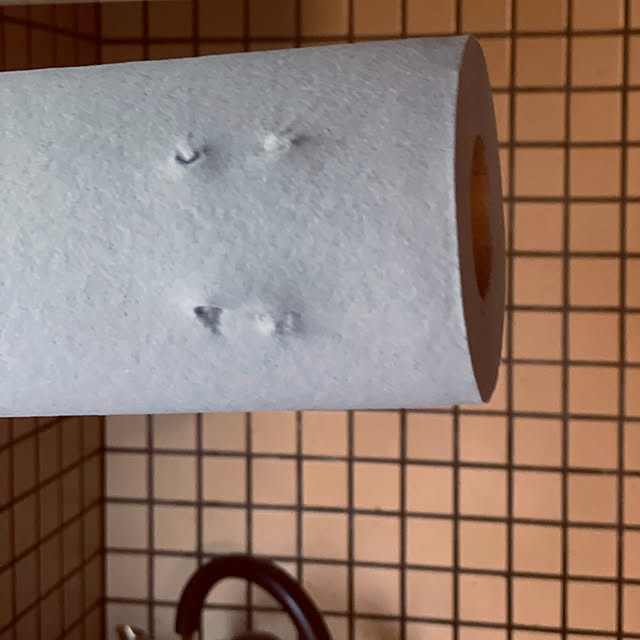 kabu10さんの実例写真
