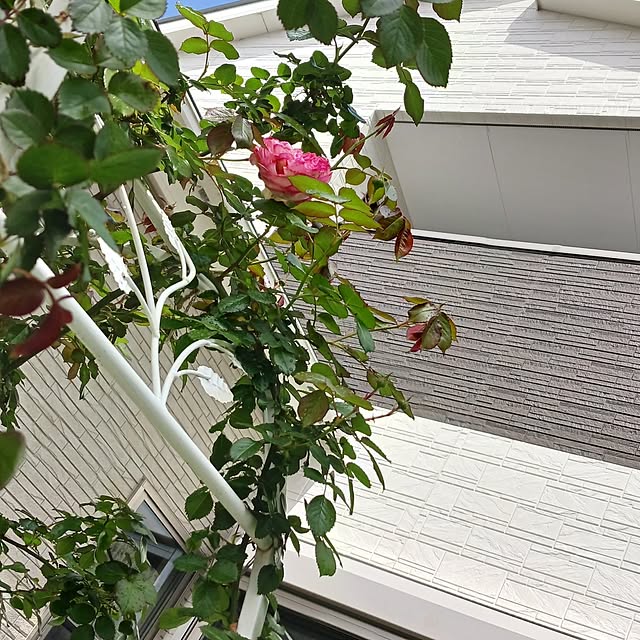 aiさんの部屋