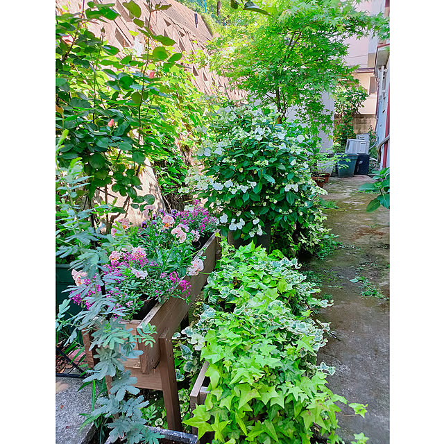 WOODPROさんの実例写真