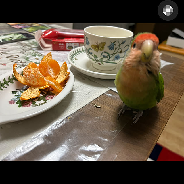 t.and.sakuraさんの実例写真
