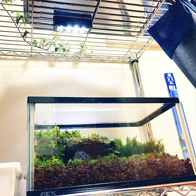nanaさんの実例写真