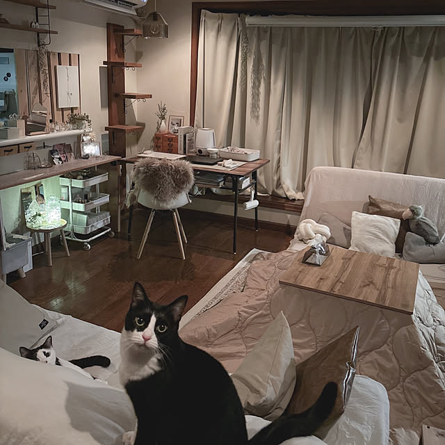 mahi1101さんの実例写真