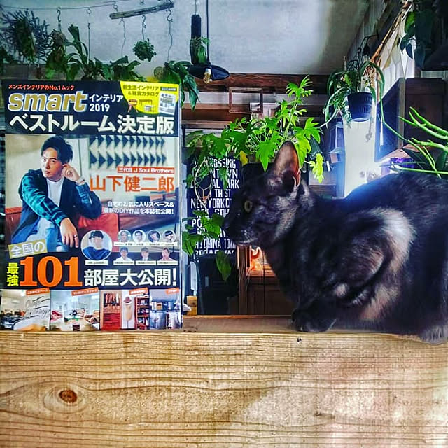 ugさんの実例写真