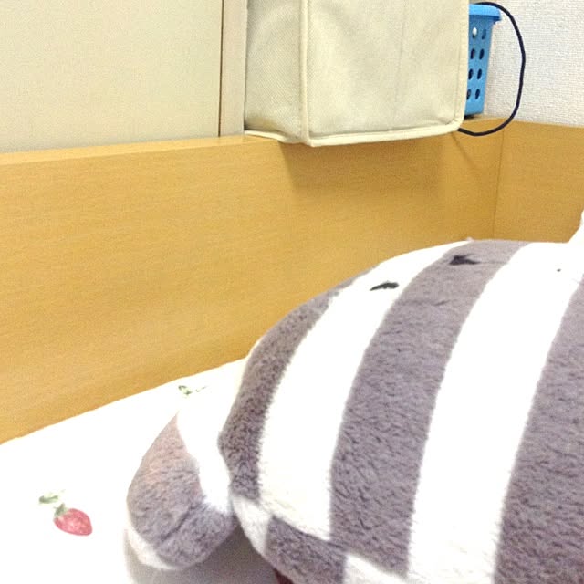manatasodaさんの実例写真