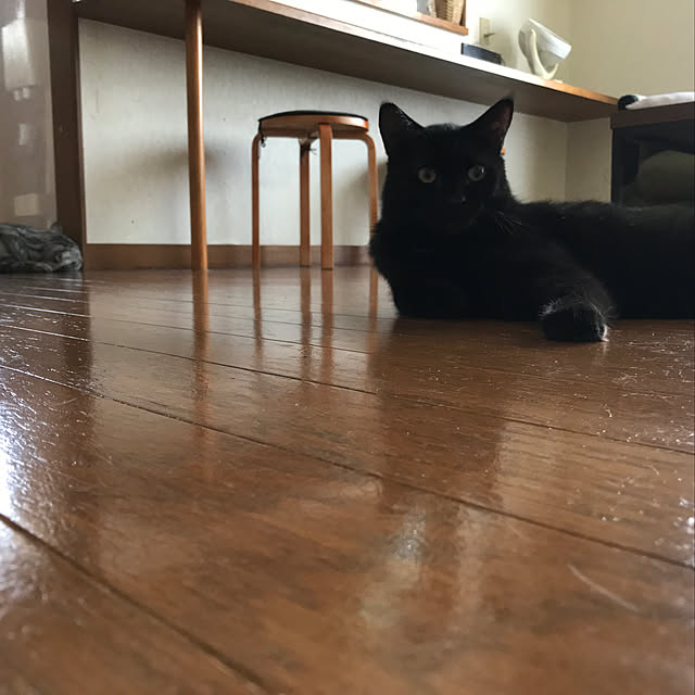 kami_haさんの実例写真