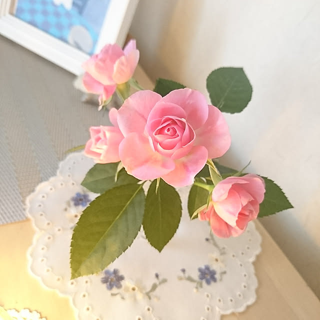sさんの実例写真