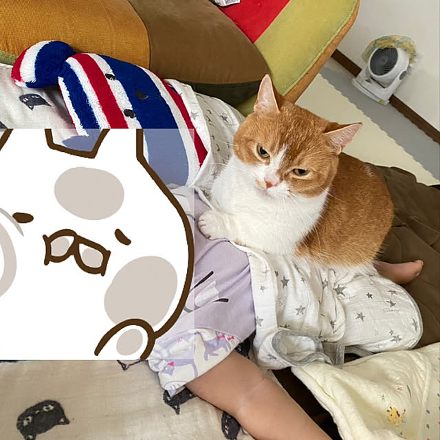 KotarouKunさんの実例写真