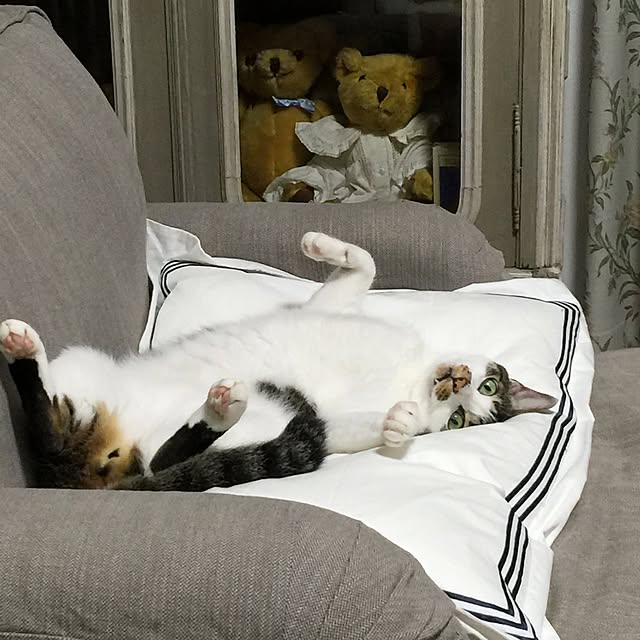 yuchiさんの実例写真
