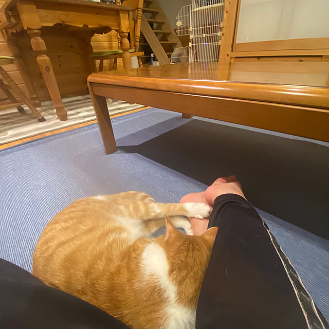 senbei.sakuramochiさんの実例写真