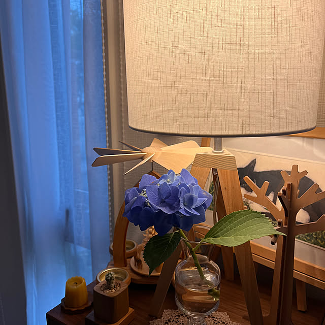 kojimasaさんの部屋