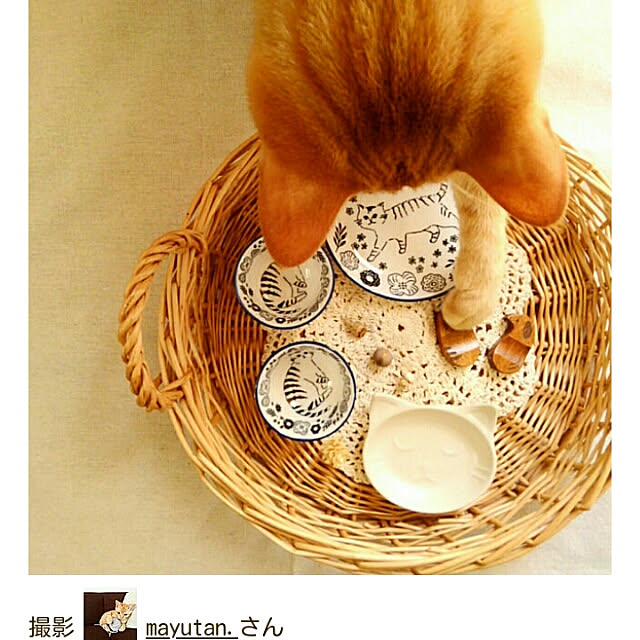 mayutan.さんの実例写真