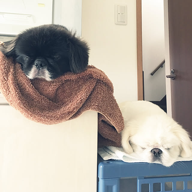 harutomoさんの実例写真