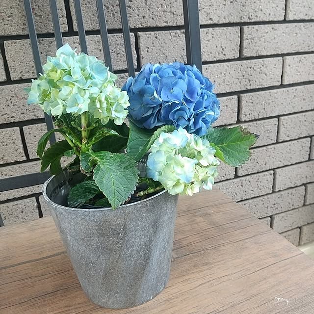 Rさんの実例写真