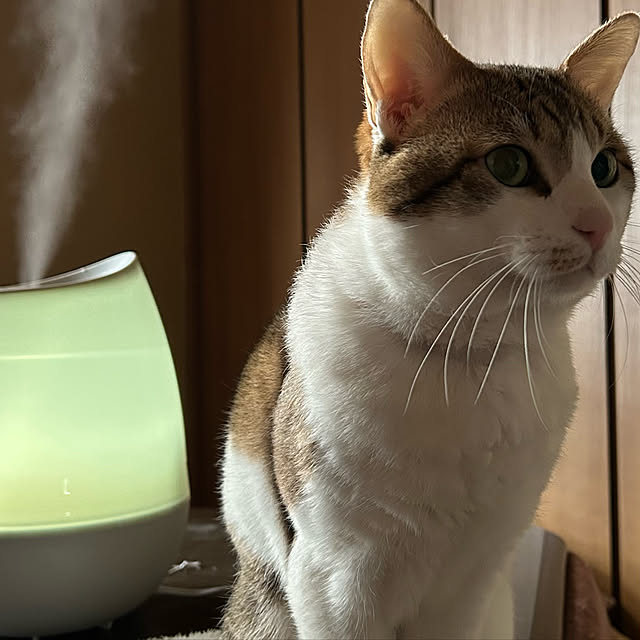 pontaさんの実例写真