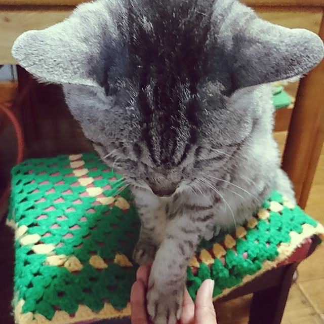 sakuさんの実例写真