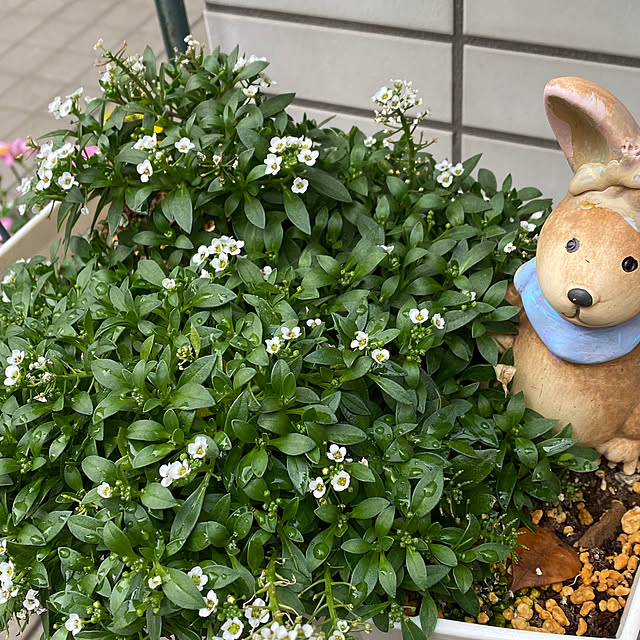 YuuKoさんの部屋
