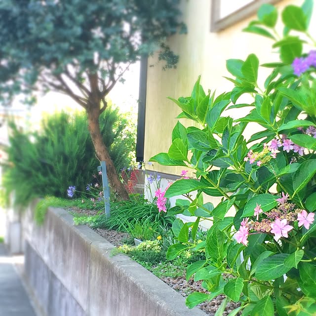 shio2772さんの実例写真