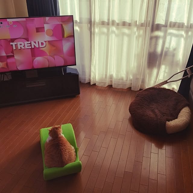 NOAHさんの部屋