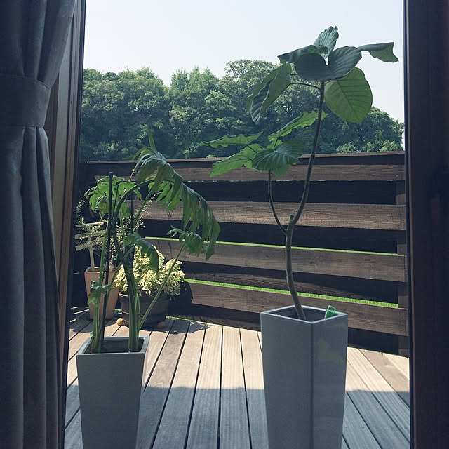spicaさんの実例写真