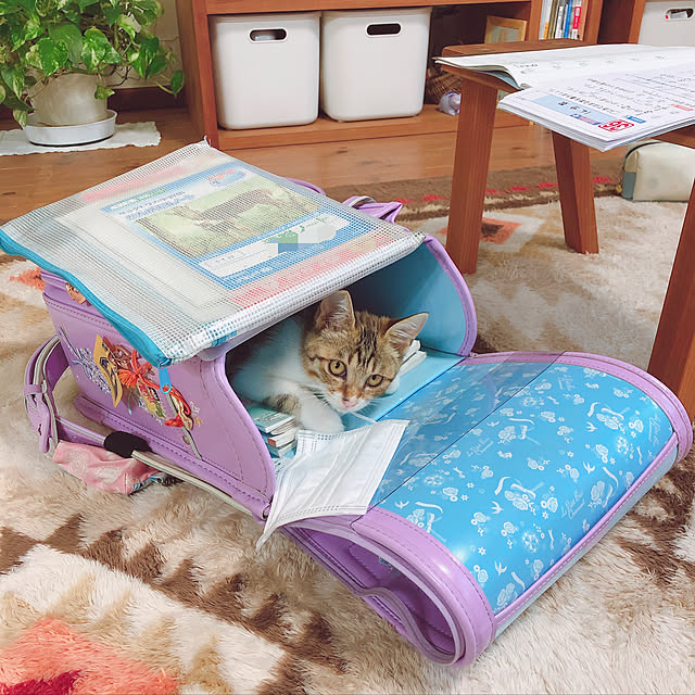 yurari.bonnさんの実例写真