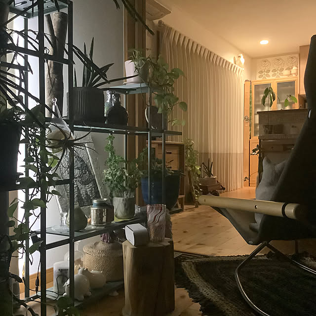 naive.coccoさんの部屋