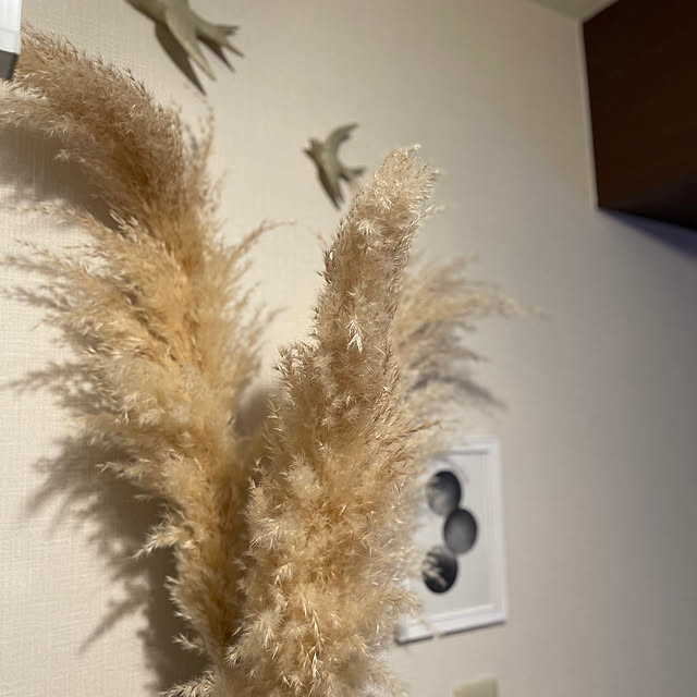 rinrinさんの部屋